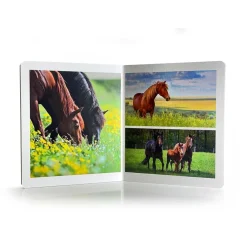 Animales de la granja<