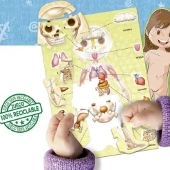 Aprender es divertido: El Cuerpo Humano 99 piezas<Educa Borras Hot