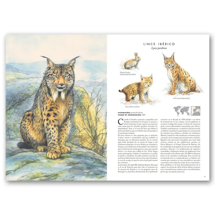 Atlas de animales en peligro de extinción< Sale