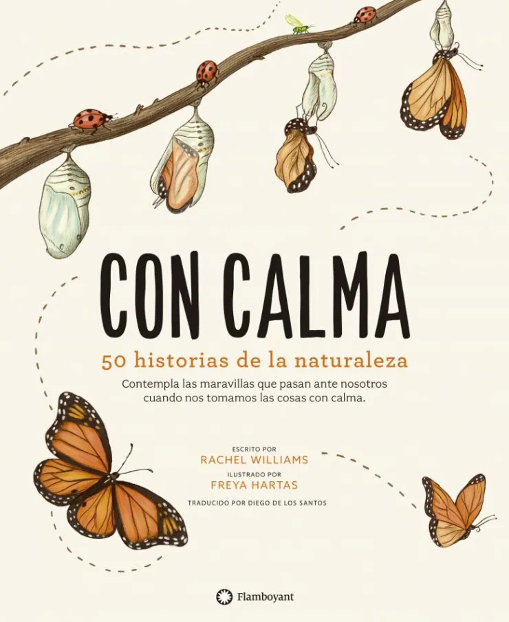 Con calma< Discount