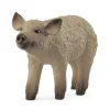 Cría de cerdo lanudo.<Schleich Discount