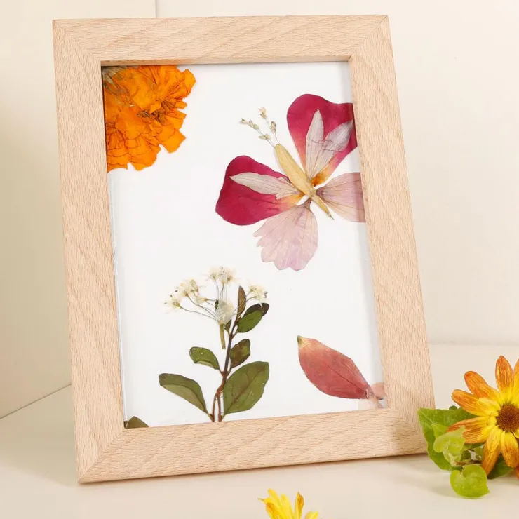 Crea flores prensadas con marco<Kikkerland Hot