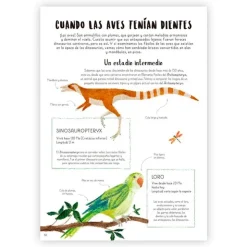 Cuando las ballenas caminaban< Clearance