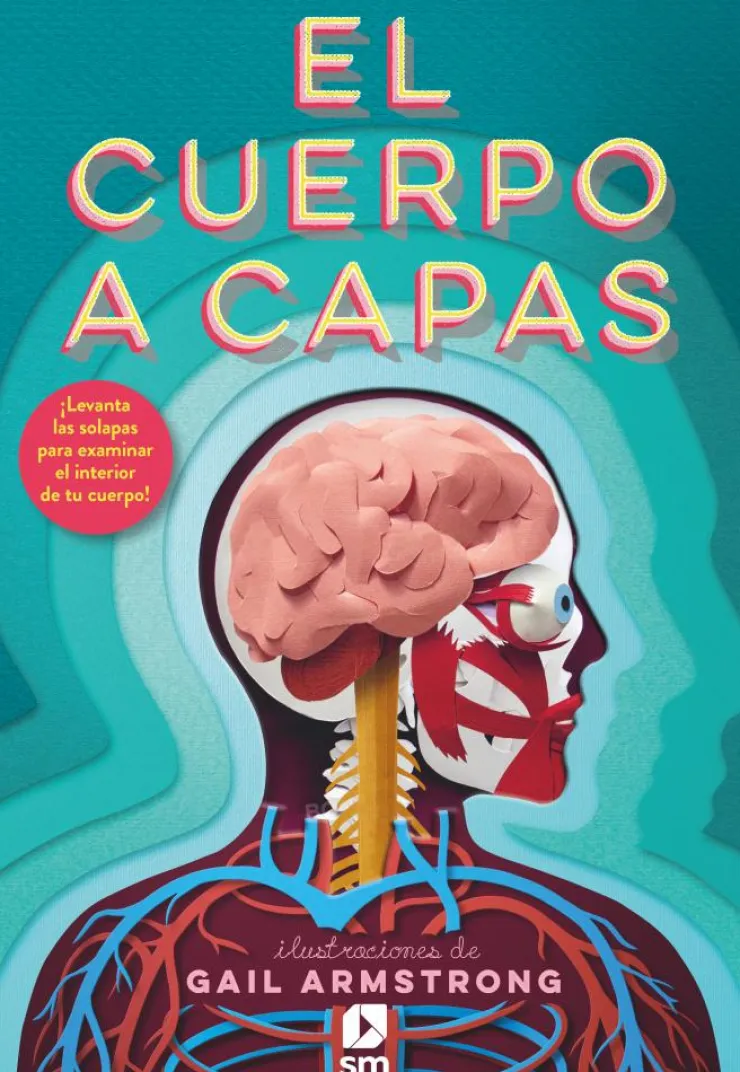 El cuerpo a capas< New