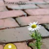 El espíritu del último verano< Outlet