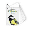 Fíjate: pájaros< Clearance