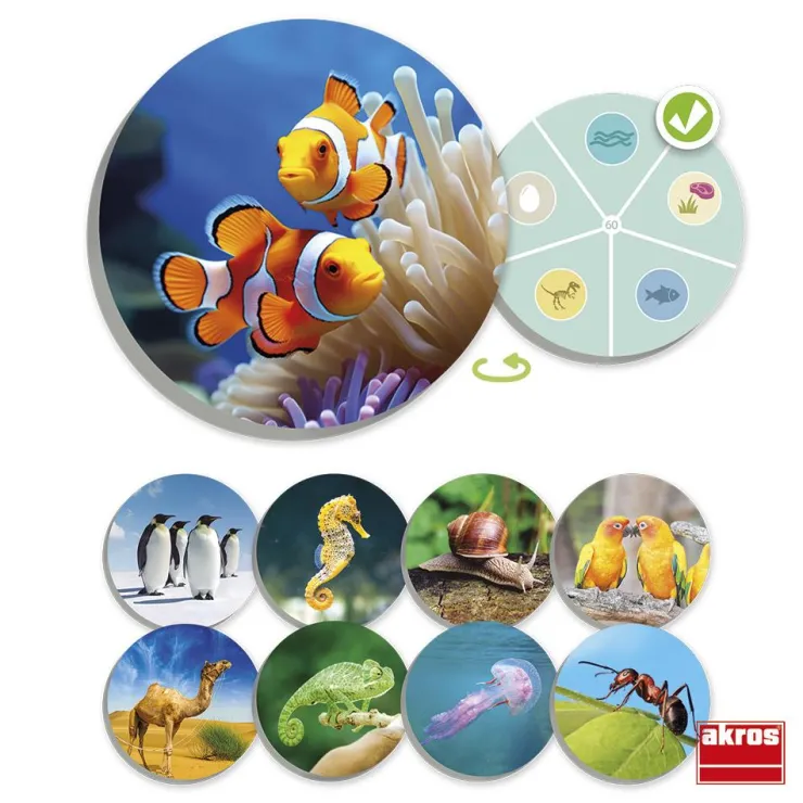 Juego de mesa El mundo animal: descubre y clasifica<Akros Clearance