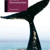 La isla de Nuncameolvides<