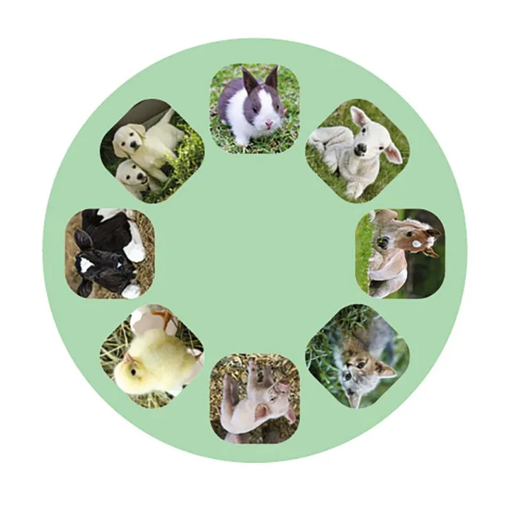 Linterna y proyector bebés animales<Moses Best