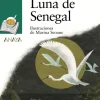 Luna de Senegal< Best