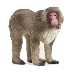 Macaco japonés.<Schleich Discount