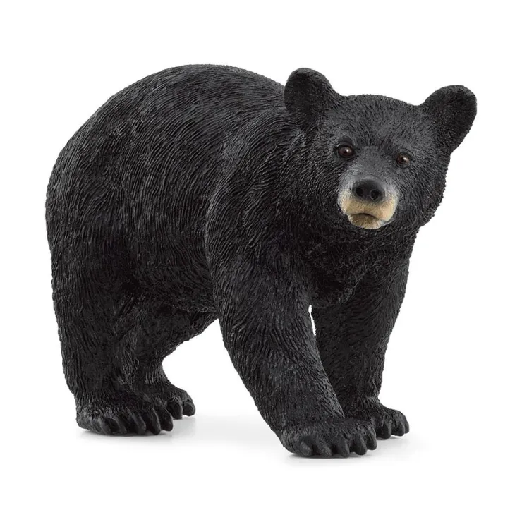 Oso negro.<Schleich Hot