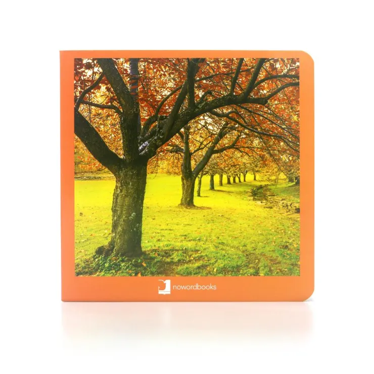 Otoño< Clearance
