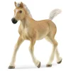 Potro Haflinger.<Schleich Clearance