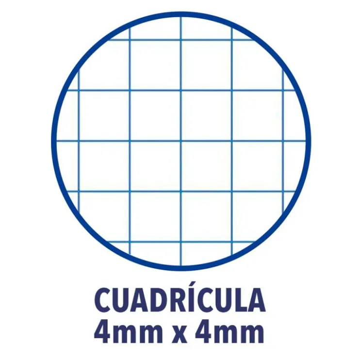 Recambio A4 cuadrícula 4x4mm 4 taladros 250 hojas con margen 90gr.<Oxford