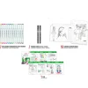 Set de dibujo manga Color Experience<Alpino New
