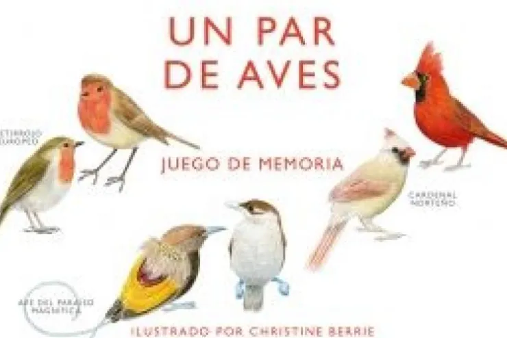 Un par de aves. Un juego de memoria< Online